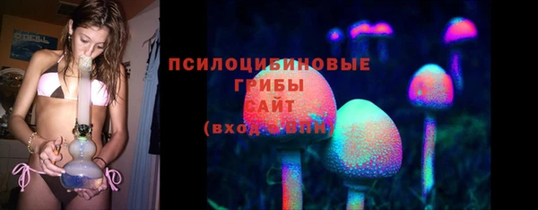 бошки Алзамай