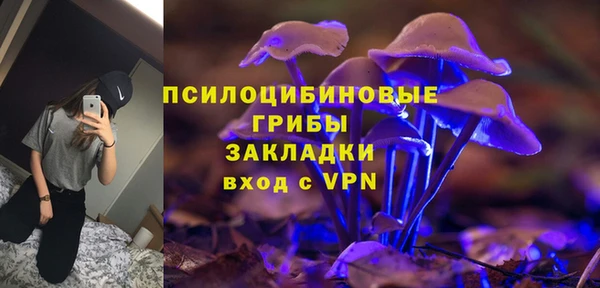 бошки Алзамай